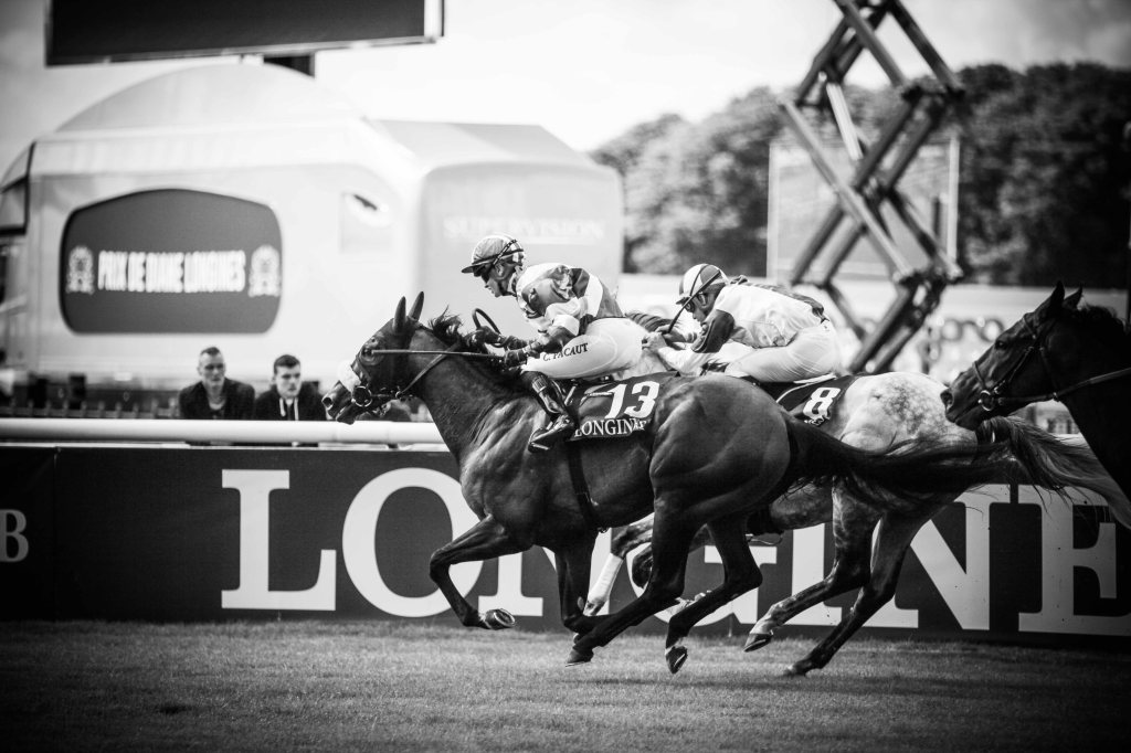Prix de Diane, french horse race