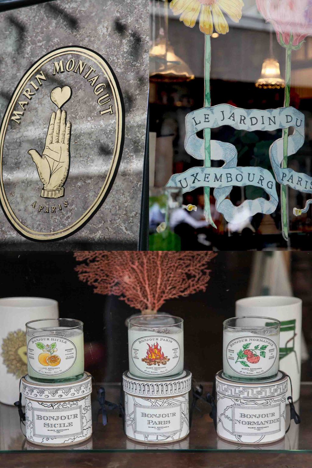 New shop to discover in Paris : Marin Montagut cabinet of&nbsp;curiosities