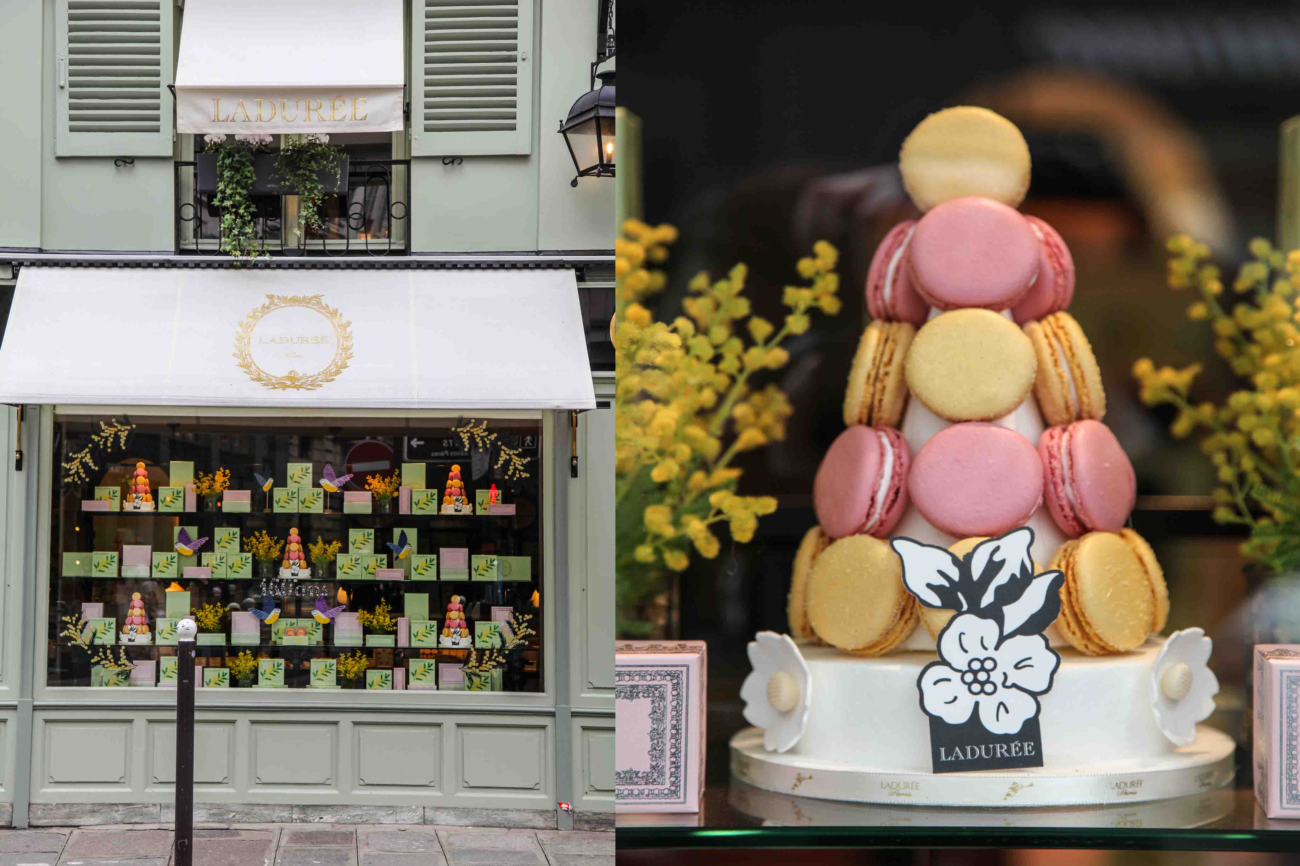 New macarons for the 160th anniversary of Ladurée
