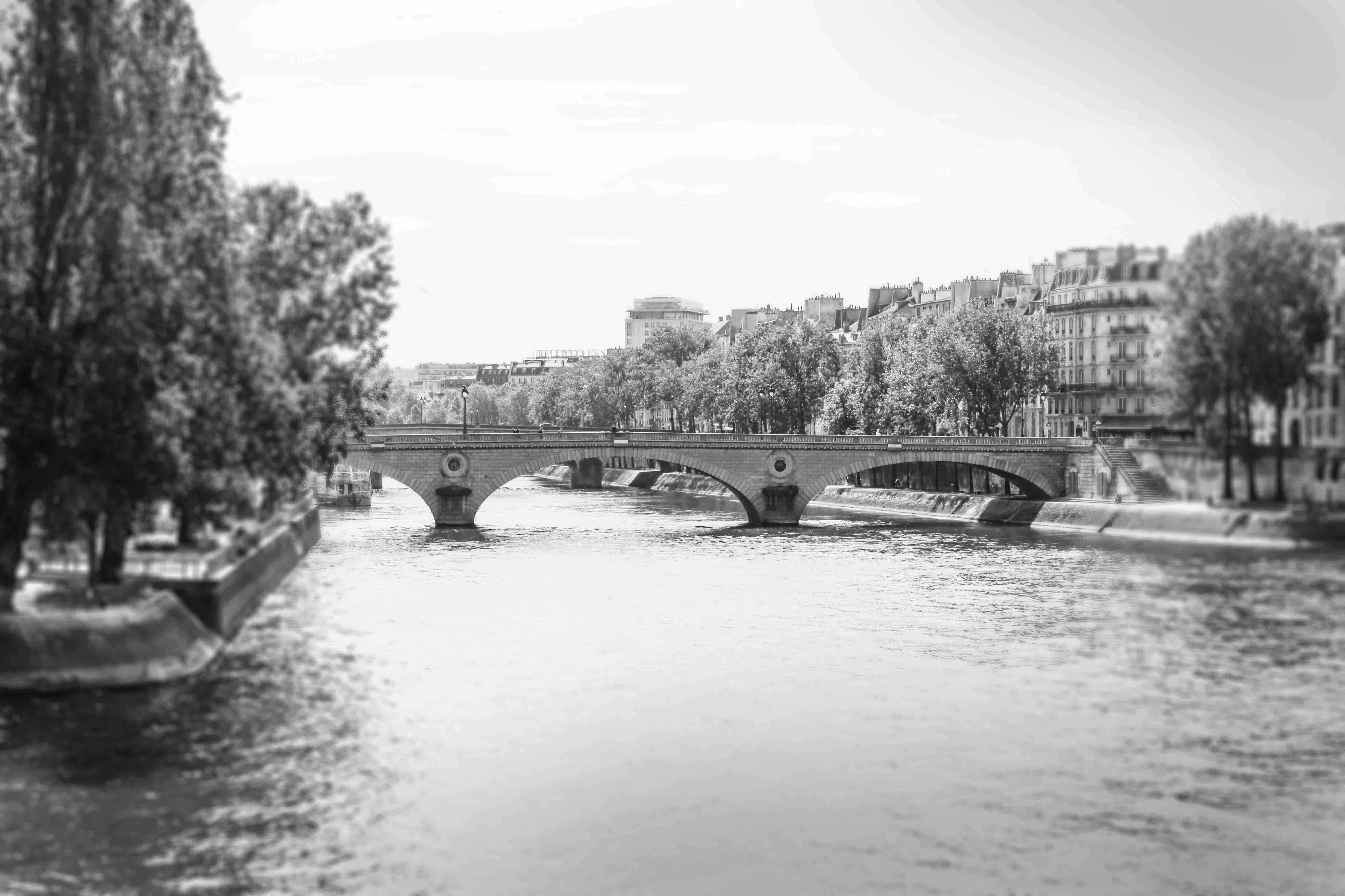 The hidden secrets of the Seine.