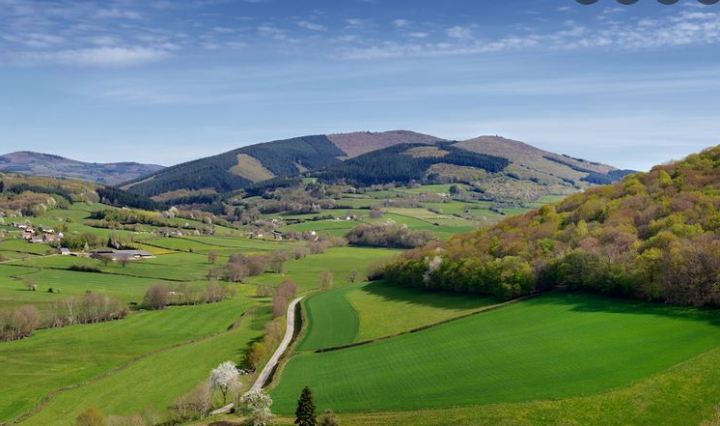 Bibracte, gallic city