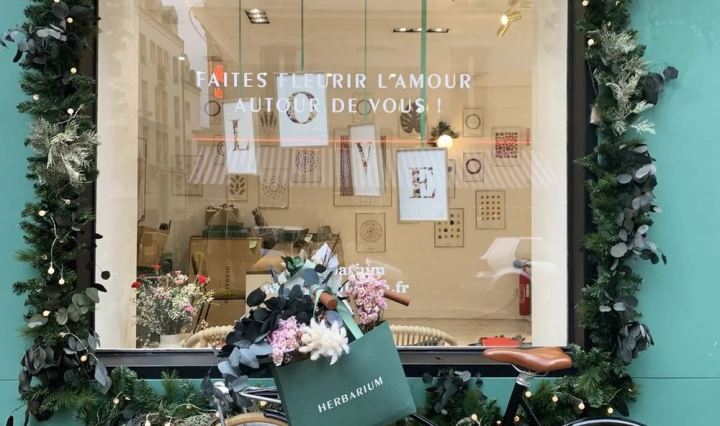 herbarium dried flowers in Paris