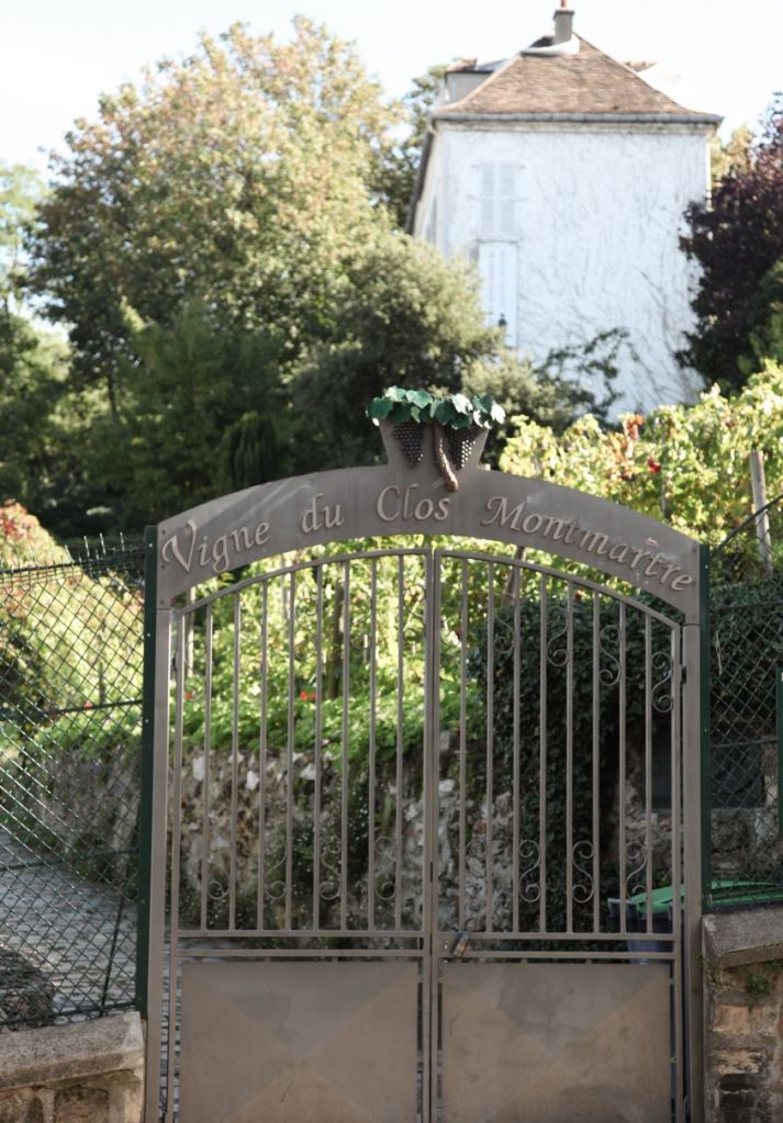 Montmartre vineyards