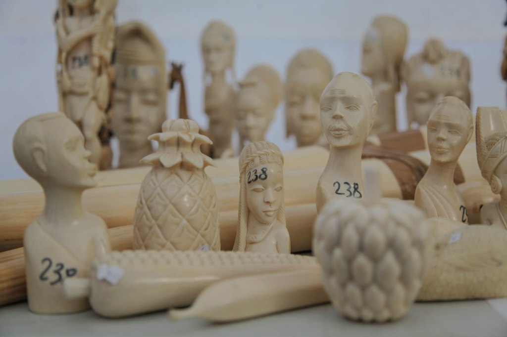 ivory objects ifaw