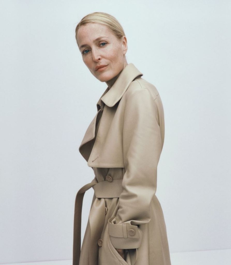 Gillian Anderson chloé