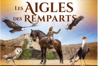 Provins raptor hunting