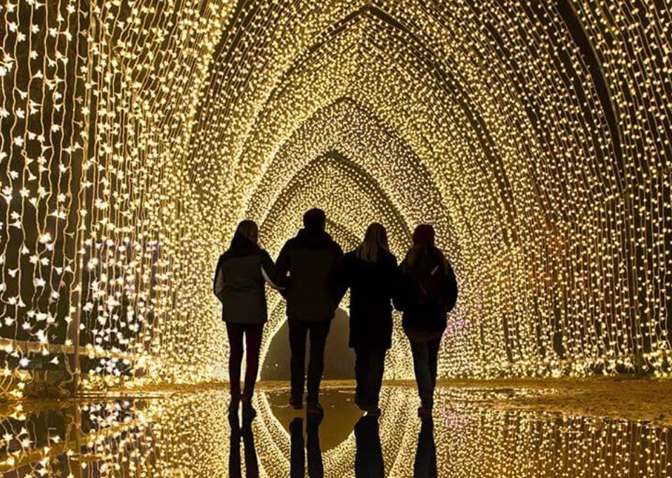 Paris Christmas lights