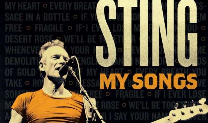 Sting in concert in chambord in 2022