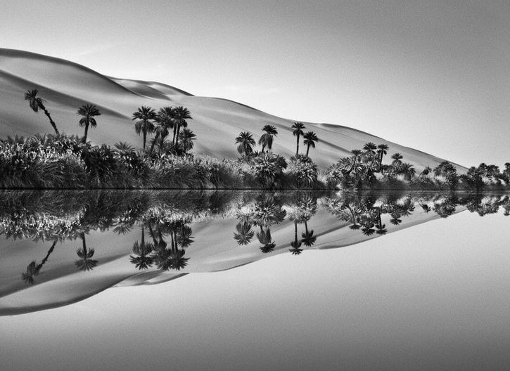 Aqua Mater is a photographic exhibition by Sebastião Salgado in Paris. It takes place in a monumental bamboo pavilion on the Parvis de la Défense and focuses on the themes of water and ecology.