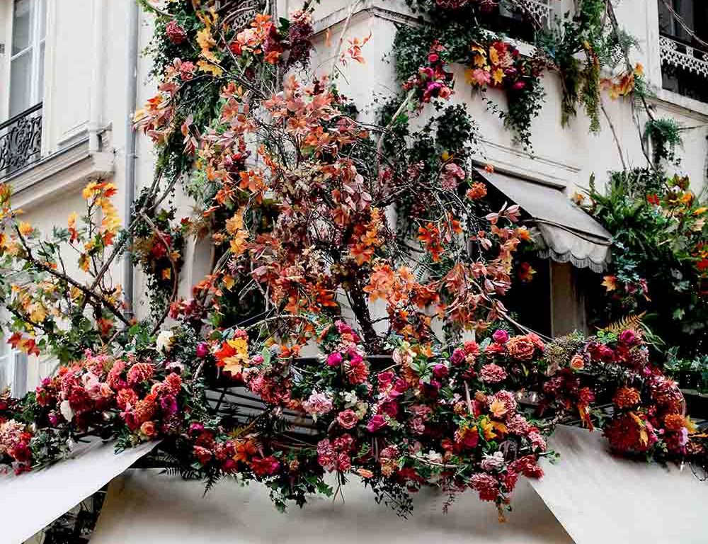 la maison sauvage paris