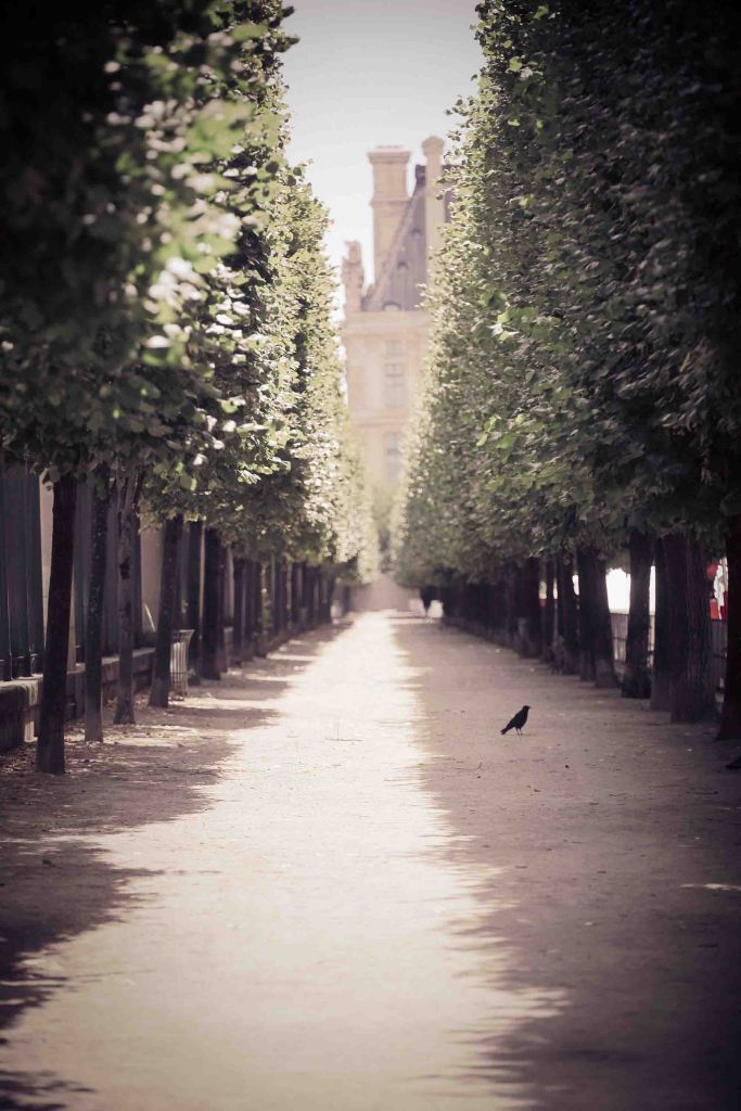 Tuileries garden in autumn