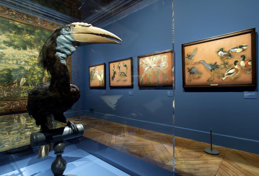 the king's animals exhibition in versailles