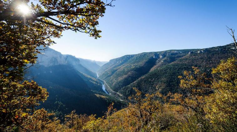 Robert Lewis Stevenson