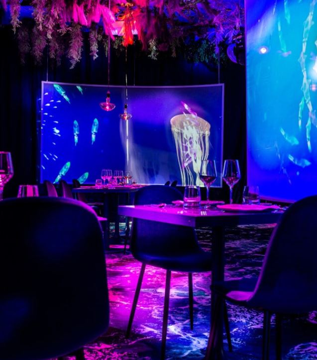 immersive restaurant paris