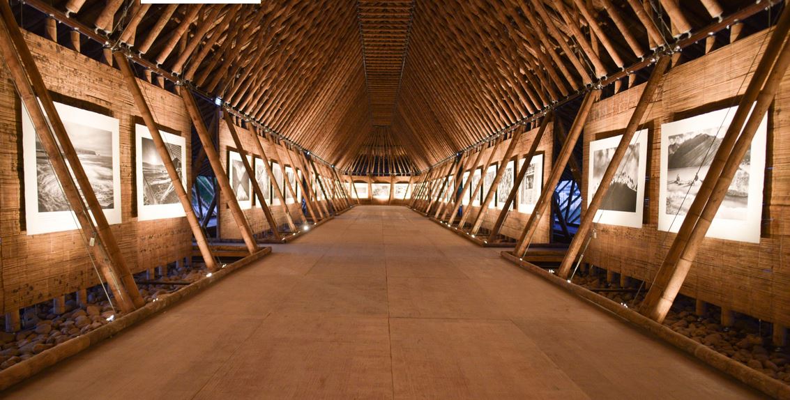 Sebastiao Salgado's monumental exhibition Aqua mater in Paris