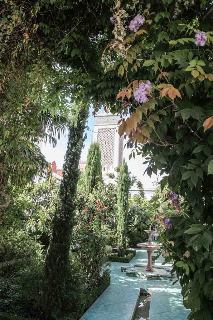 The Mosque of Paris