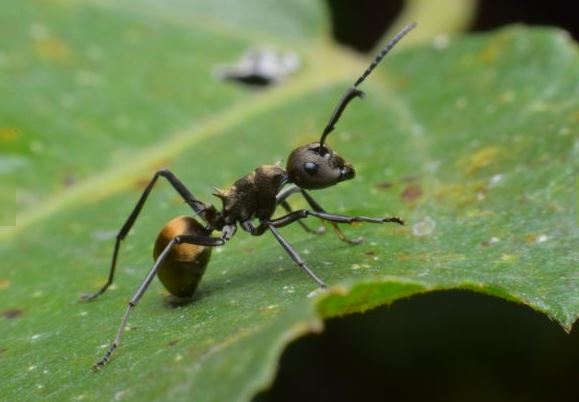 France is making progress in cancer research 