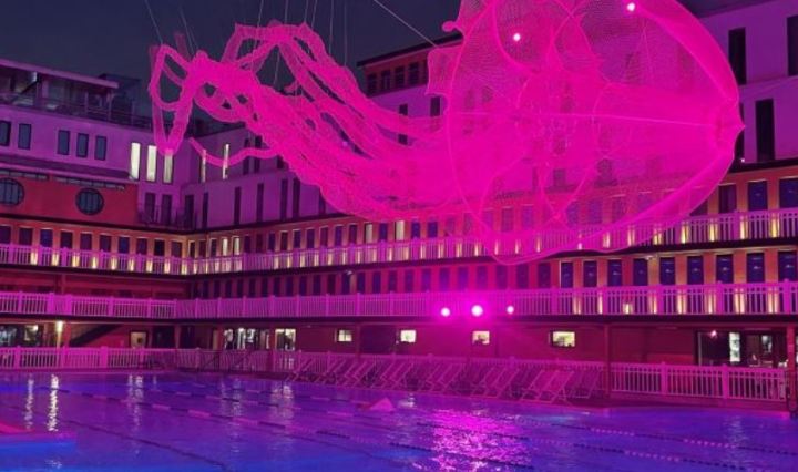 medusa molitor swimming pool