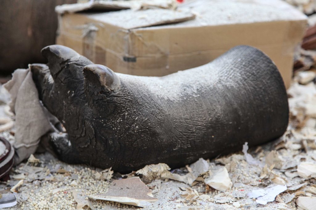 ivory destruction ifaw