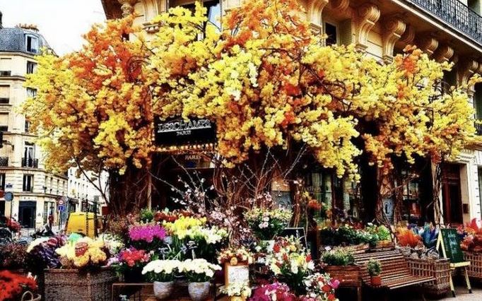 most beautiful florists in paris