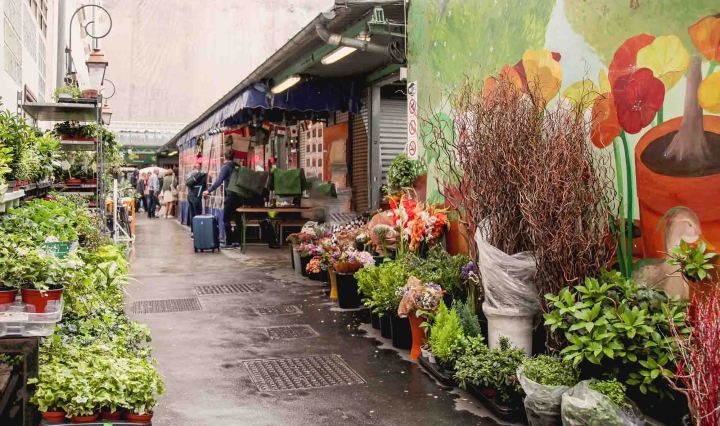 le marais travel guide