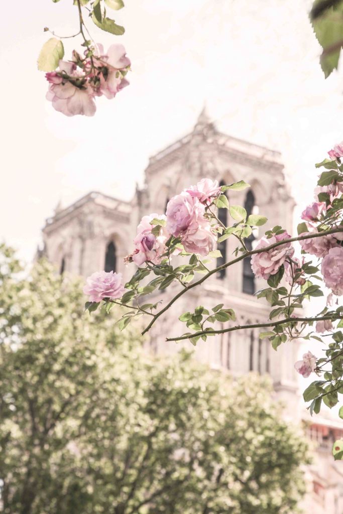 spring spots in paris