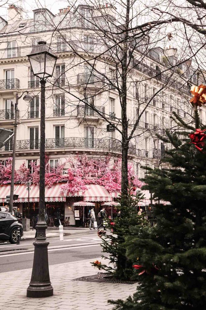 la favorite paris flowers