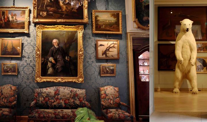 Paris’s Most Eccentric Hidden Museum: Inside the Musée de la Chasse et de la Nature