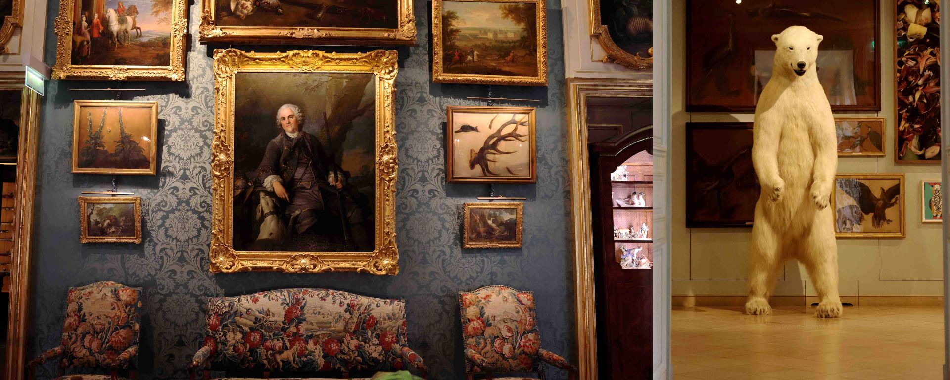 Paris’s Most Eccentric Hidden Museum: Inside the Musée de la Chasse et de la Nature