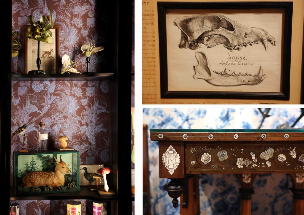 museum chasse nature
