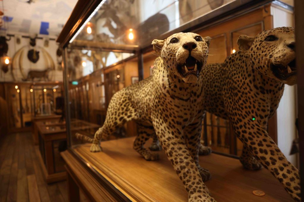 best museum in le marais